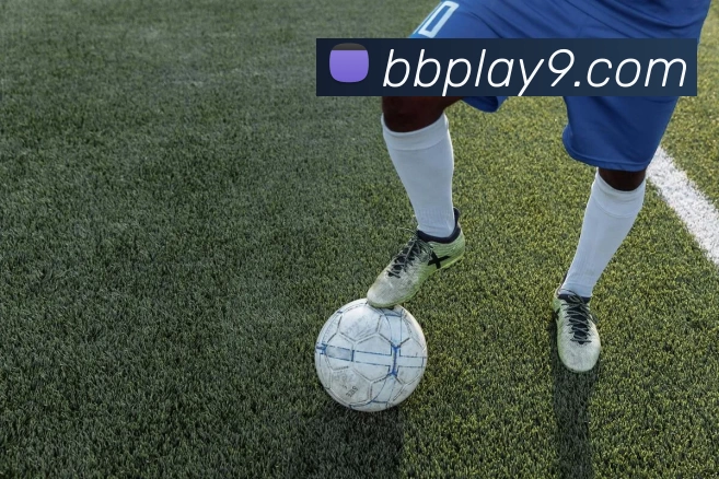 贝宝体育官网服务体系